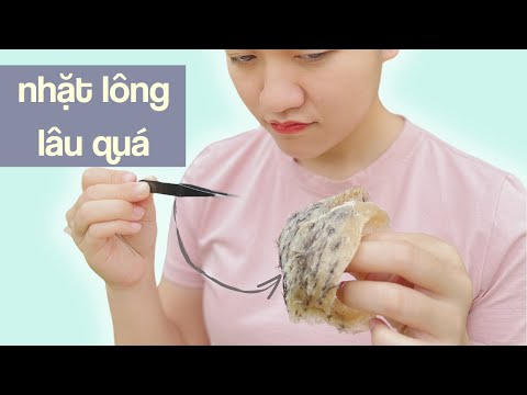 Thumbnail for Tổ yến thô, Cách nhặt lông siêu đơn giản và cách chưng yến