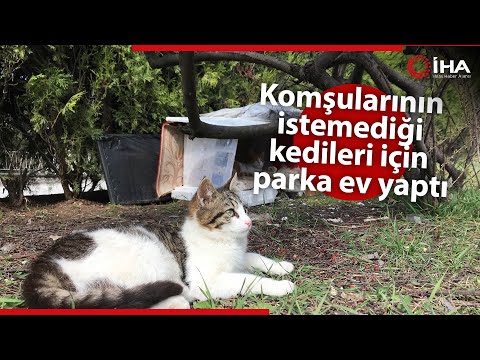 Thumbnail for Komşularının İstemediği Kedileri İçin Parka Ev Yaptı