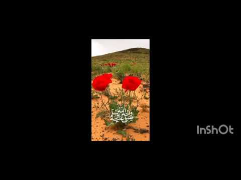 كثروا من الصلاة على النبي