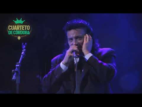 Sebastian El Monstruo - Perdona si te hago llorar │ EN VIVO