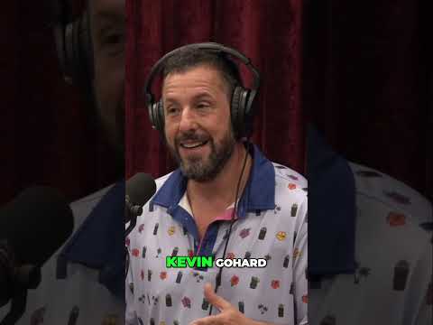 The Insane McDonald's Order Challenge  How Many Can I Eat Joe Rogan Podcast