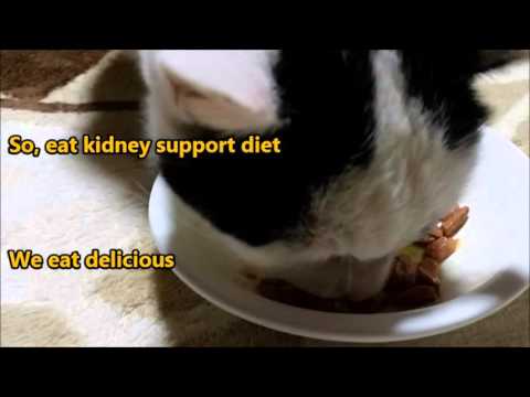 Thumbnail for A meal of Nacchan kidney support／なっちゃん腎臓サポートの食事をする