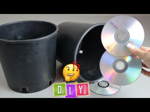 Thumbnail for PLASTİK KOVA VE CD İLE YAPTIM / HAZIRLARI ÇOK PAHALI