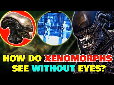 How Does Xenomorph Vision Work Without Any Eye Sockets? - Explained