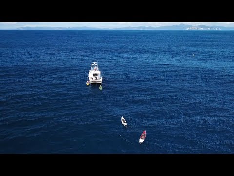 Kayak Fishing 50 Miles Out -- New Zealand Ep 6 | Field Trips with Robert Field