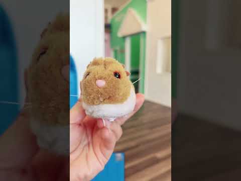 Thumbnail for Let’s check the mailbox! #indoorplayground #toys #mailbox #playroom