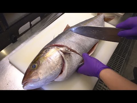 How to Cut an Amberjack for Sashimi / 紅甘魚切割技巧 Amberjack Cutting Skill