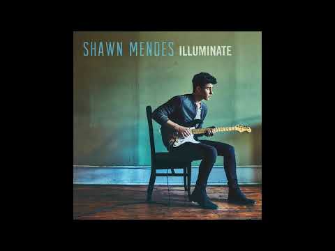 S.H.A.W.N.M.E.N.D.E.S. - Illuminate (Full Album)