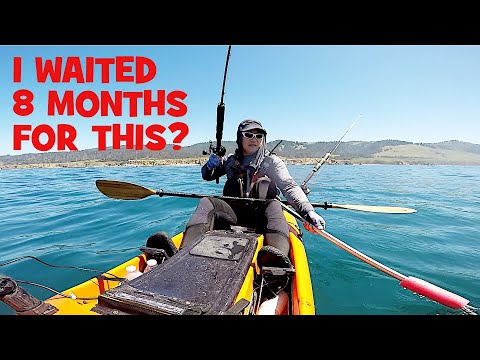 Thumbnail for Back to Sonoma Coast 8 Months Later: Nearshore Rockfish and Lingcod