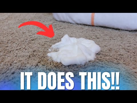 How to Clean a Carpet Stain with Shaving Cream!