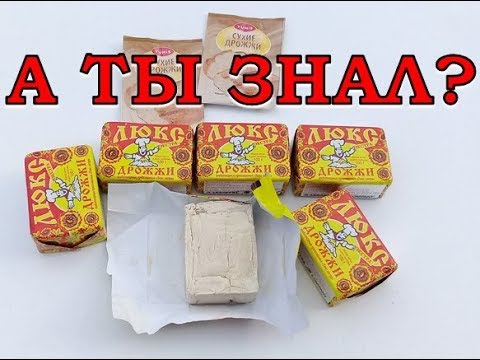 ВАЖНО! Весенняя подкормка ДРОЖЖАМИ (рецепт)