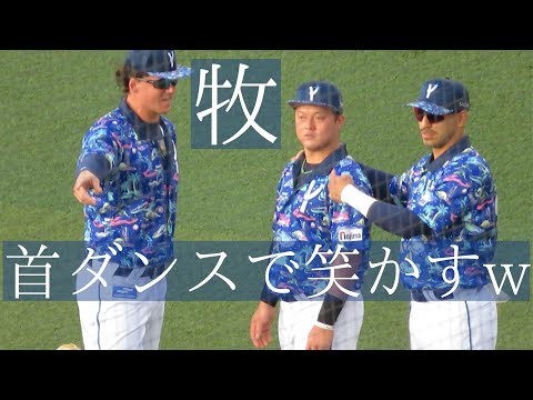 牧秀悟が首ダンスと英語力で阪神ベンチを笑かすw オースティン､ソトがかなり笑う 2022-8-10