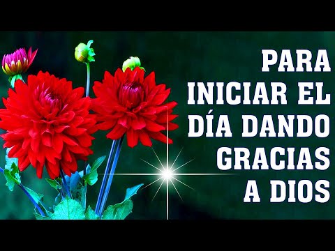 MUSICA CRISTIANA 2023 - ESPECIAL DE ALABANZAS PODEROSAS AÑO 2023 PARA COMENZAR EL AÑO FELIZ