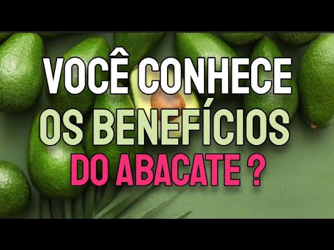 Conheça todos os benefícios do abacate atualizado 2024