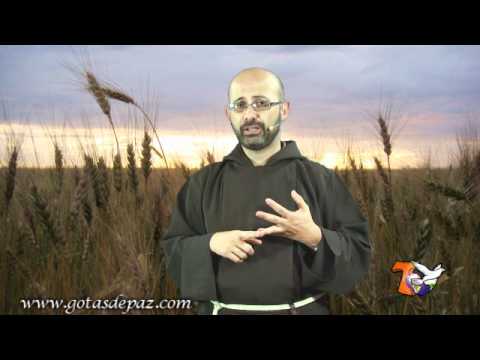 Si el grano de trigo no muere, no da frutos abundantes. Hno. Mariosvaldo Florentino, OFMcap.