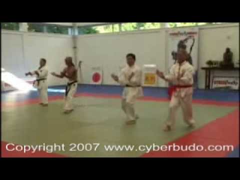 comparitive karate san chiem ( sanchin ) San zhan