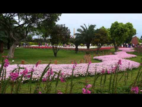 I Don&apos;t Want To Talk About It - Rod Stewart ft. Amy Belle