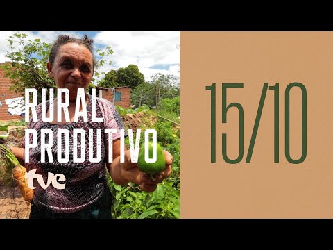 Thumbnail for MANDIOCA, CASA DE FARINHA, USO DA ÁGUA DA CHUVA E MOQUECA DE CAMARÃO NO RURAL PRODUTIVO | 15/10/2022