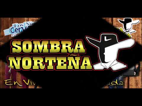 Chayo Leyva Con Los Nuevos Cervantes De Sinaloa DISCO COMPLETO