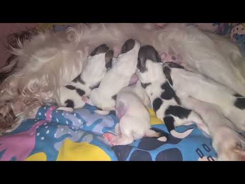 AQNVLuuMNkB6DK9KYWVU2u51gcpj9SRnkzd8EvTHiZej xs1clZYa3yE 19MOLujQOpnCH2JrEawDOHckPErYl0v