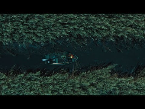 Thumbnail for Šiandien kimba 190721 Papės paviršiais