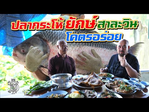 หม่อมถนัดแดก | ปลากระโห้ยักษ์ สาละวิน โคตรอร่อย | อร่อยจริง!!