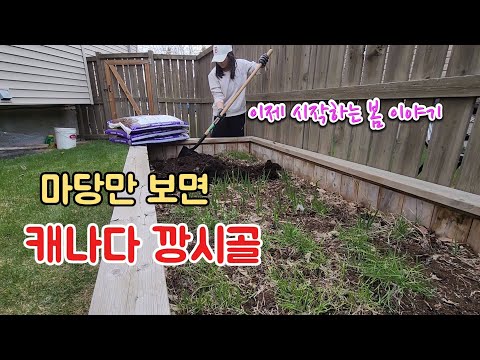 드디어 뒷마당 개장, 놀러 오세요. 배추전, 깻잎전, 부추밭, 국제부부