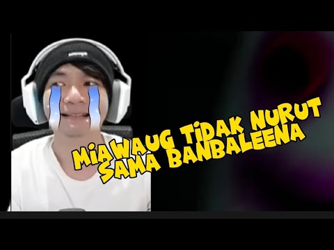 Miawaug Tidak Bisa Duduk Jadi Dikejar-kejar