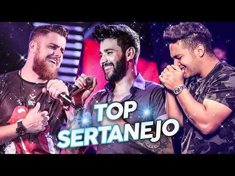 As Melhores do Sertanejo Universitário 2019 Top Sertanejo 2019 Mais Tocadas - (Lançamentos 2019)