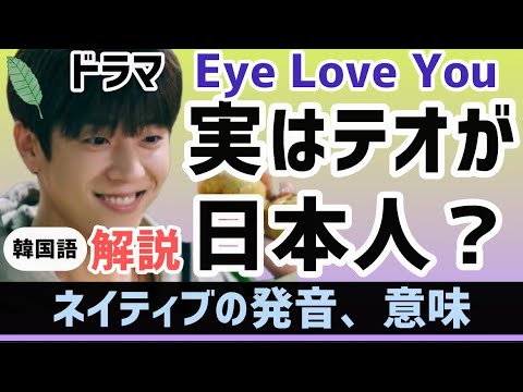 リエン韓国語#317  テオが実は日本人!? Eye love you に隠された事実とは？チェジョンヒョプ韓国語セリフを解説  | リエンハングル