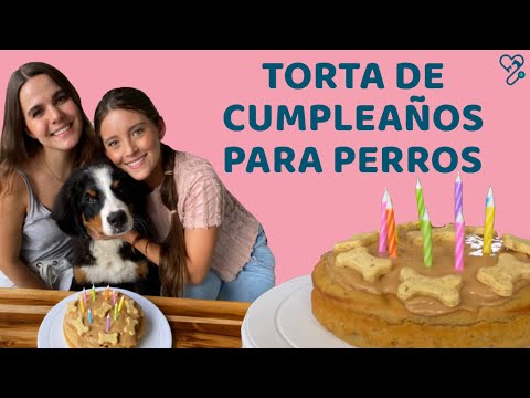 TORTA DE CUMPLEAÑOS PARA PERROS | Receta fácil y rápida - Lauvet