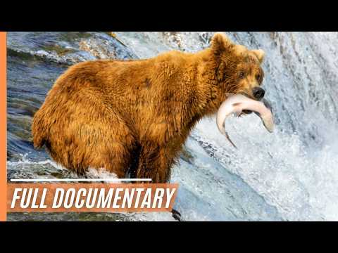 Untouched Wilderness in America&apos;s Northernmost National Park - Gates of the Arctic