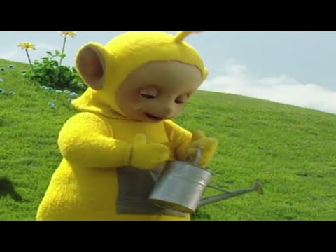 Teletubbies Türkçe | Çiçek yapalim | Sezon 01 bölüm 09 | Çocuklar için Çizgi Filmler