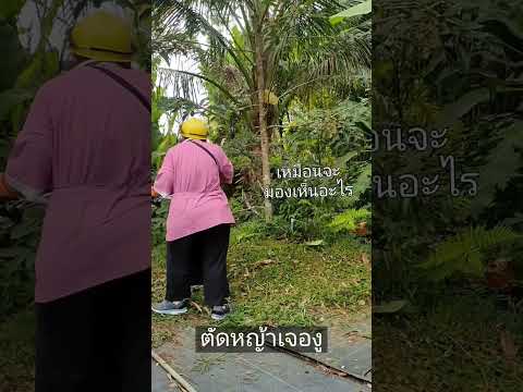 ตัดหญ้าเจองู จุดจบการรีวิวเครื่องตัดหญ้า