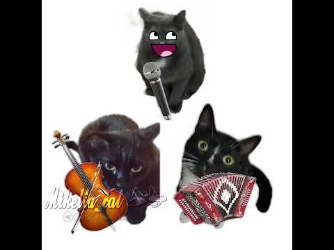 ^^ @Loki_love4 @КУЗЯ-КУКУРУЗЯ-ЛУЧШИЙ #умаляюзалети #cat #рек #teameork #активвернись #Ыы #ت