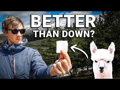 Why Everyone’s Switching Over to Alpaca Wool Insulation