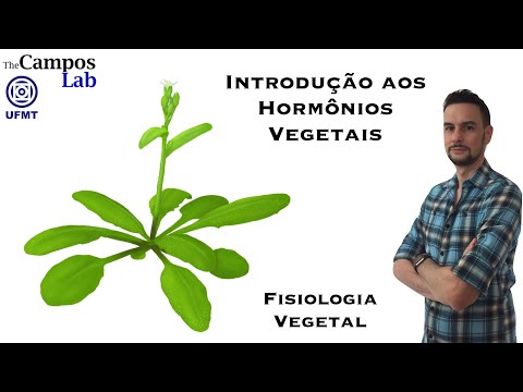 Introdução aos Hormônios Vegetais