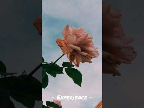 Thumbnail for Experience - Ludovico Einaudi || [ 30 Minutes ]