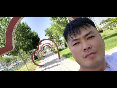 Гулистан 2022г. Конец июня.