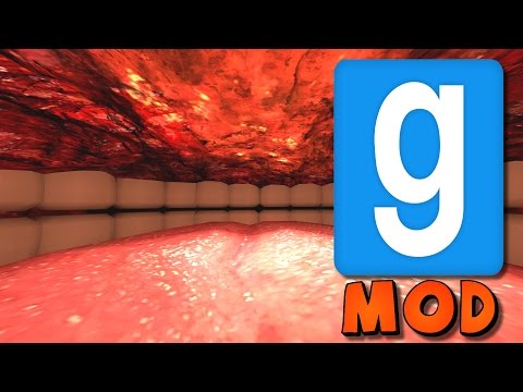 Thumbnail for Garry's Mod: Inside A Human Body Mod Showcase