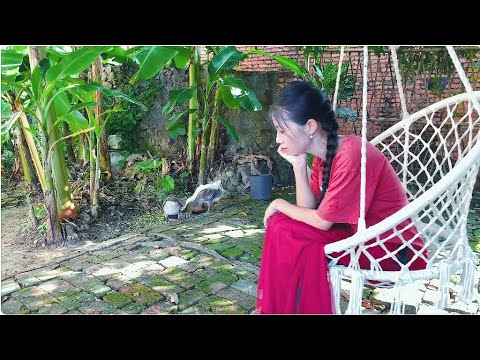 Thumbnail for 小鹅一个月可以长多大?只要喂得勤,就给你隔天变个样!