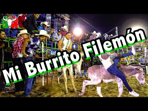 Thumbnail for Mi Burrito Filemón