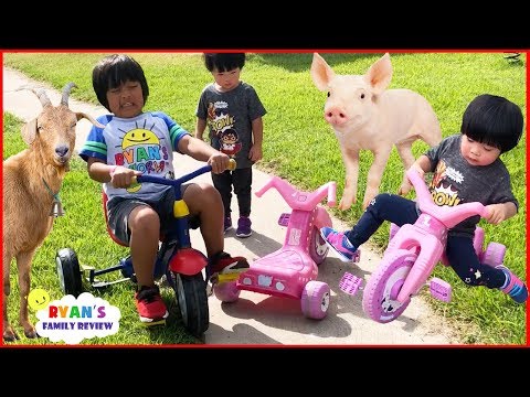 Thumbnail for Kids Family Fun Trip to the Farm with Animals and Giant Slides!!