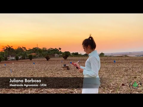 Seletividade de Herbicidas: conceitos e fatores que influenciam