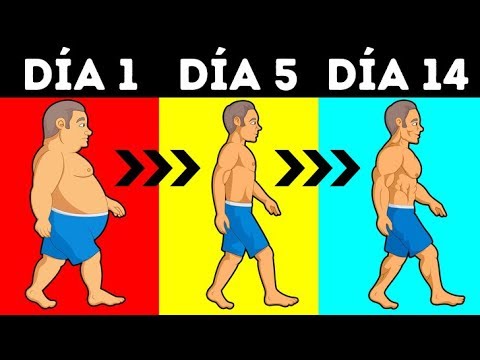 Thumbnail for ¿Cuántas Calorías Debes Consumir Para Perder Peso?