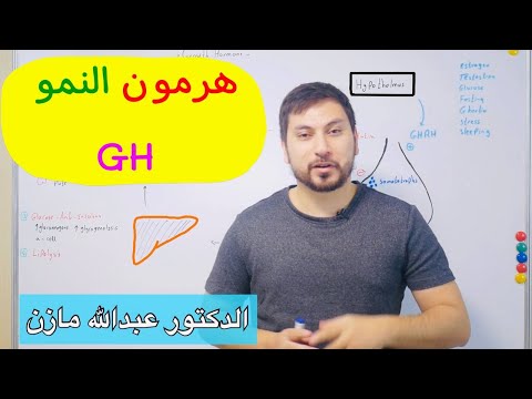 هرمون النمو القصة الكاملة الافراز الوضائف التنظيم Growth Hormone
