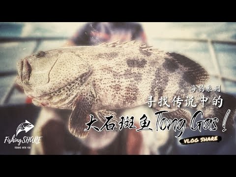 Thumbnail for 【FishingShare】寻找传说中的大石斑鱼TONG GAS!SLOW PITCH海钓系列| Searching for the LEGENDARY BIG GROUPER TONG GAS!