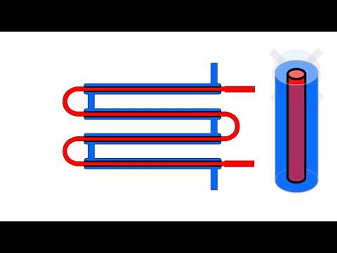 Thumbnail for Double Pipe LC-DLM Heat Exchange and Flow Areas Tutorial