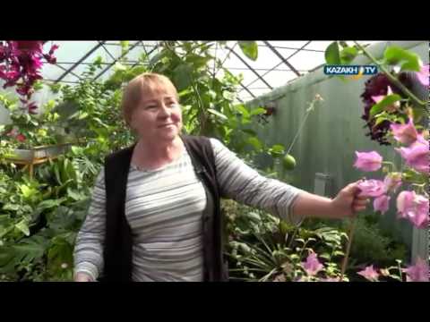 Жизнь под землей: Людмила Земляная. Живи на 100!