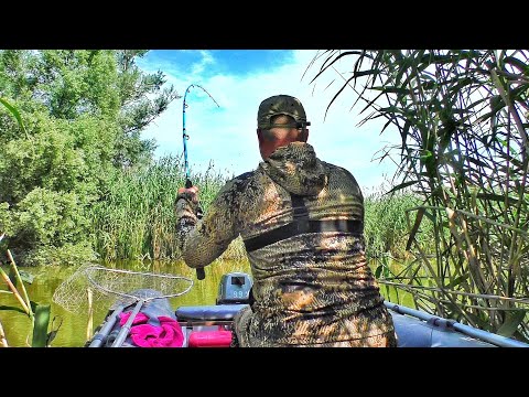 КЛЮНУЛО НЕЧТО! ТРОФЕЙ, ШАКАЛЫ... Рыбалка в диких местах.